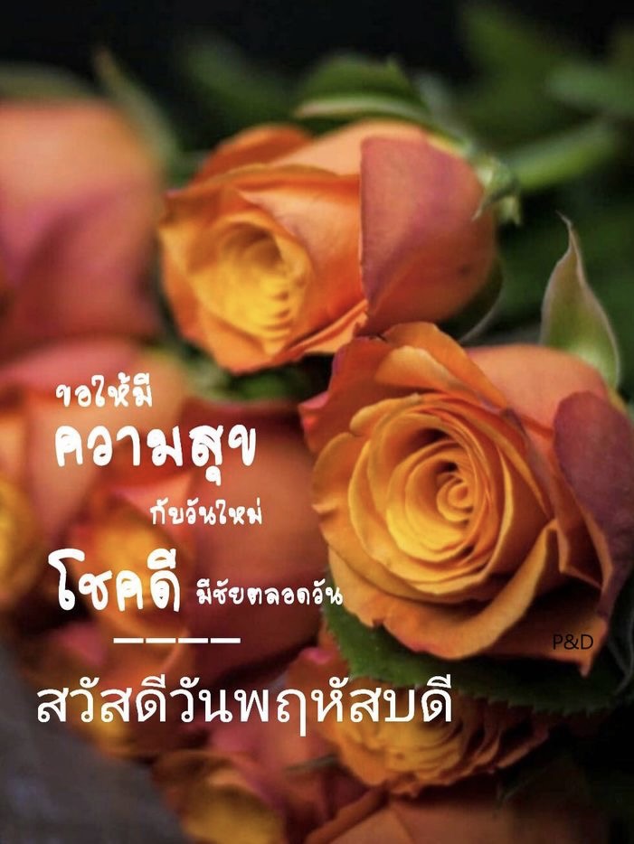 ขอให้มีความสุขกับวันใหม่
