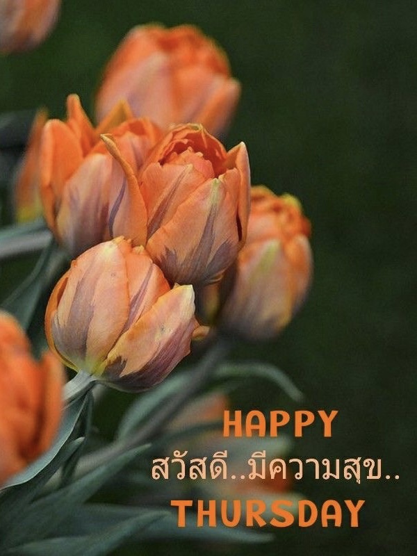 สวัสดีมีความสุข