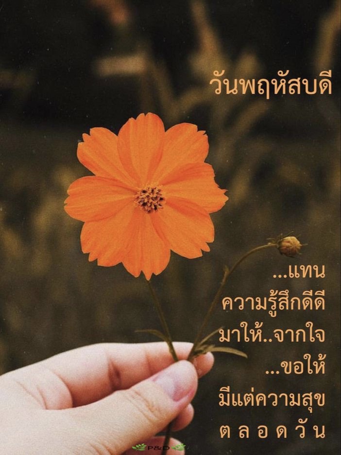 แทนความรู้สึกดีดี