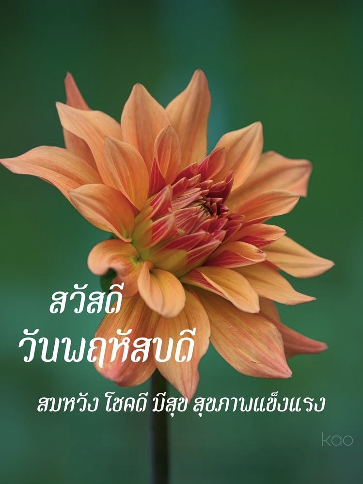 สมหวัง โชคดี