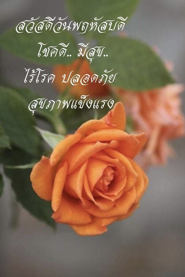 โชคดี มีสุข