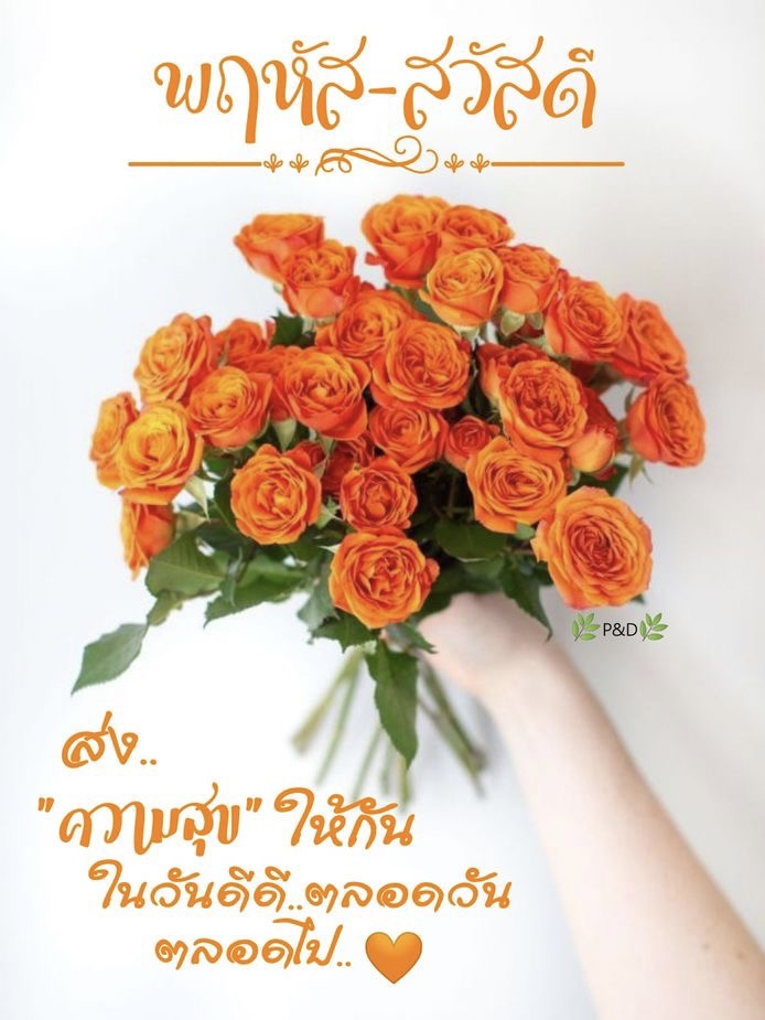 ส่งความสุขให้กันในวันดีดี