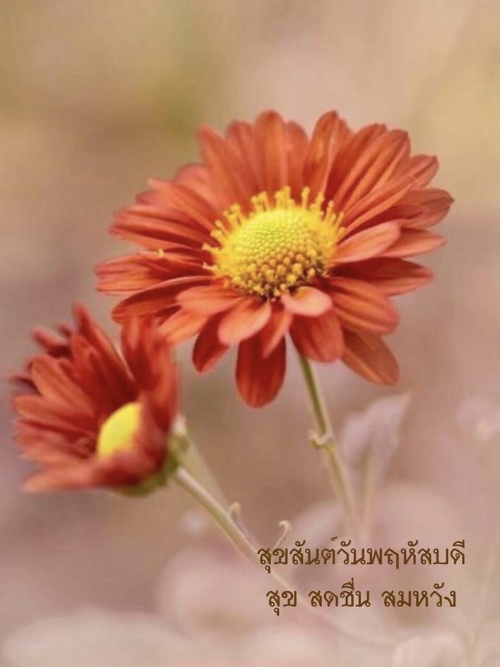 สุข สดชื่น สมหวัง