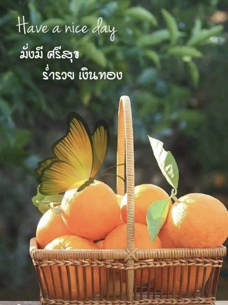 มั่งมี ศรีสุข