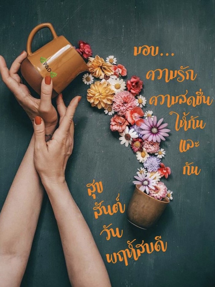 มอบความรัก ความสดชื่น ให้กันและกัน