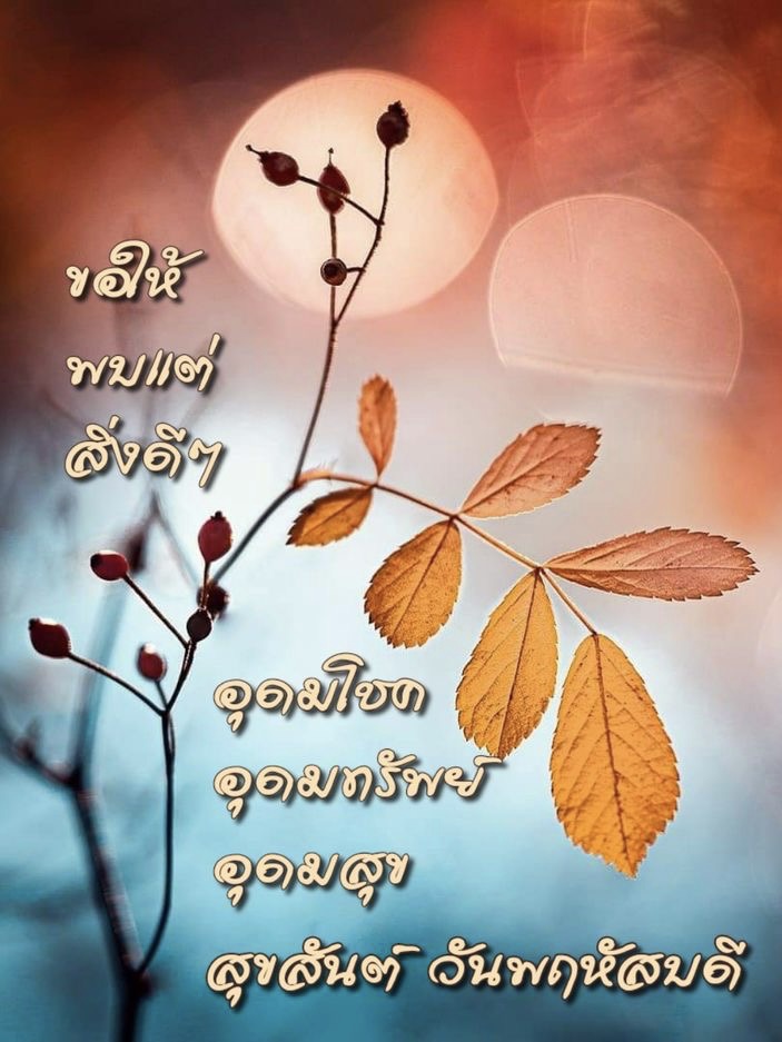 ขอให้พบแต่สิ่งดีๆ