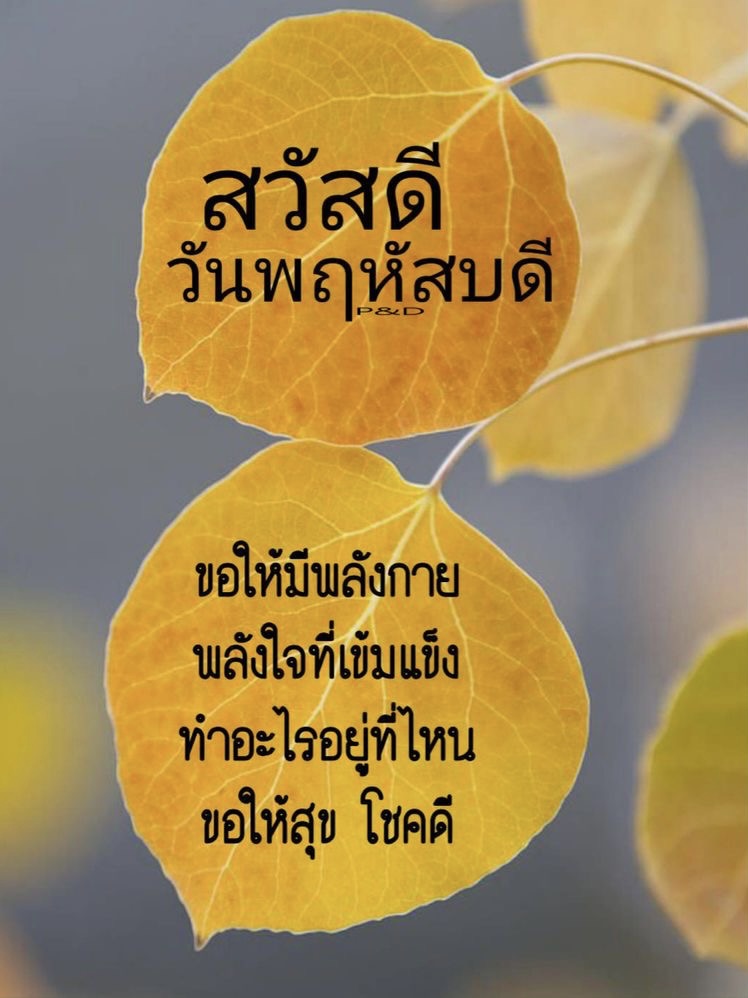 ขอให้มีพลังกาย พลังใจ