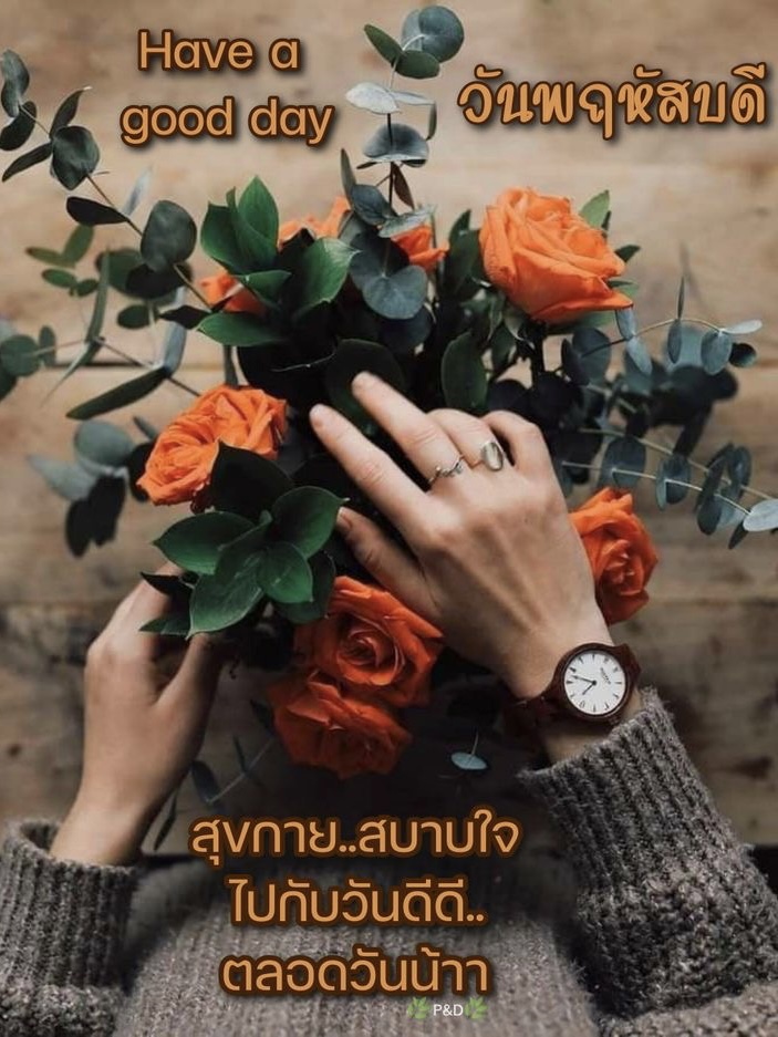 สุขกาย สบายใจ