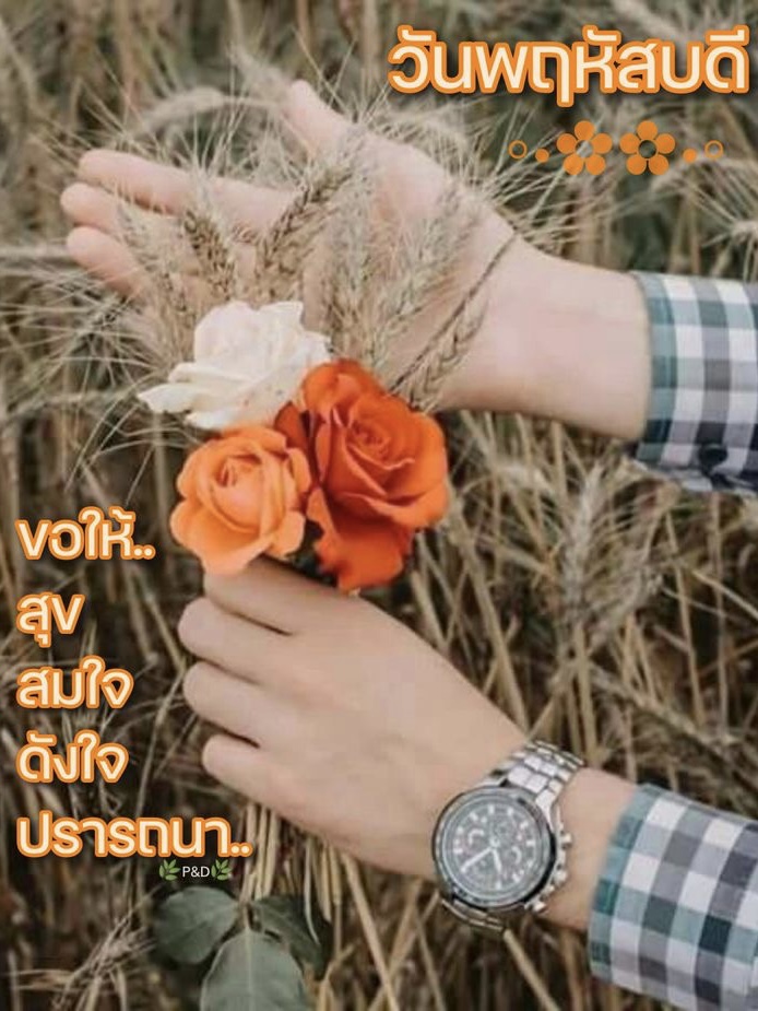 ขอให้สุข สมใจ ดังใจปรารถนา