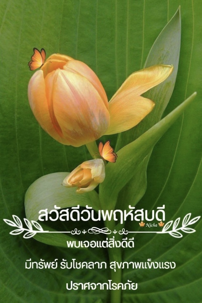 พบเจอแต่สิ่งดี ๆ