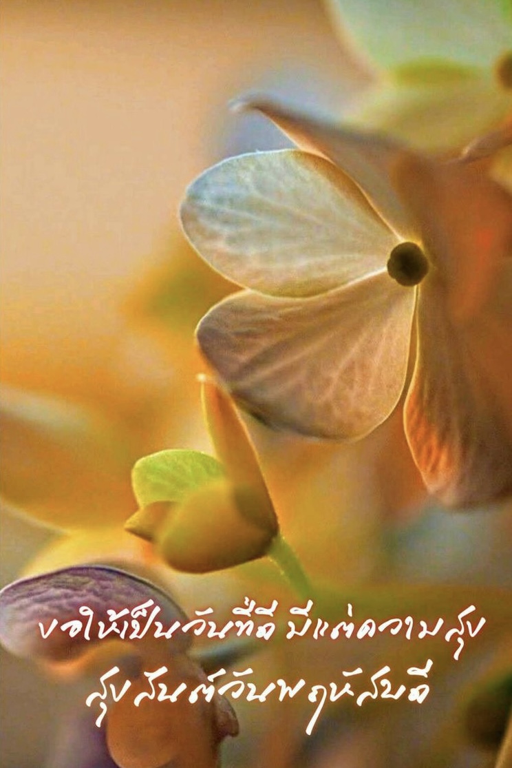 ขอให้เป็นวันที่ดี