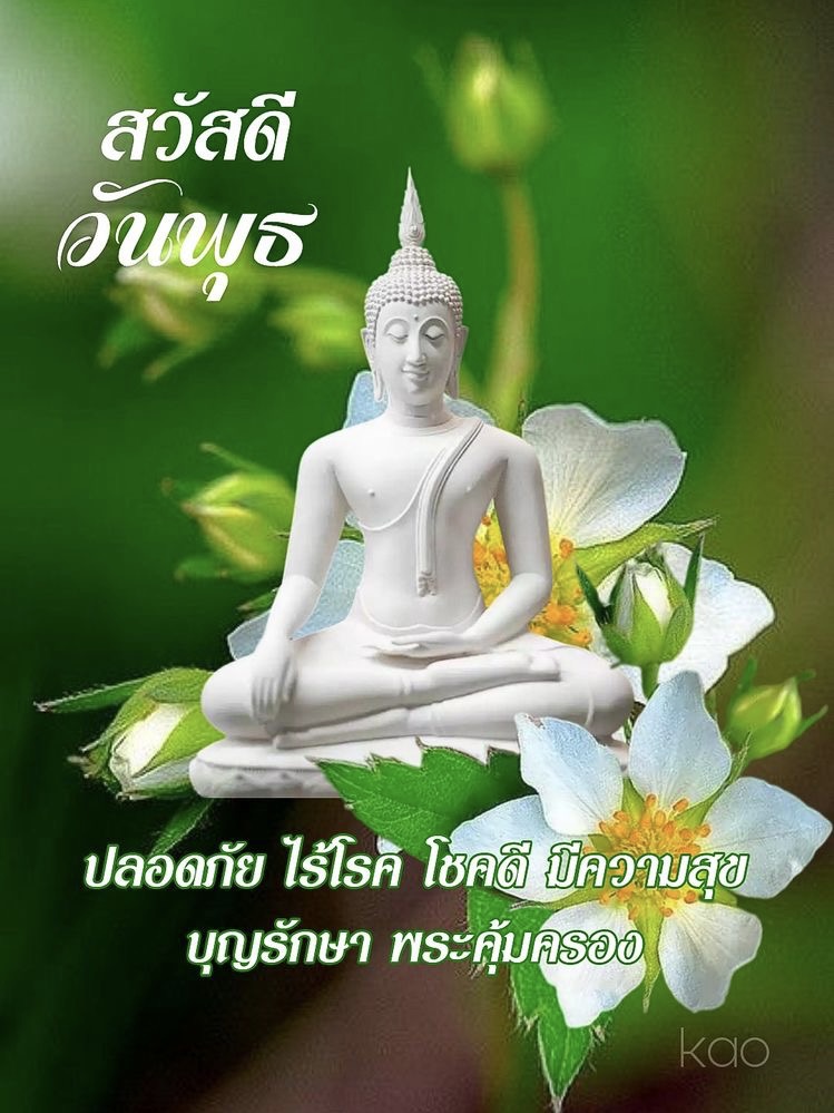 ปลอดภัย ไร้โรค