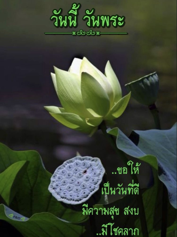 ขอให้เป็นวันที่ดี