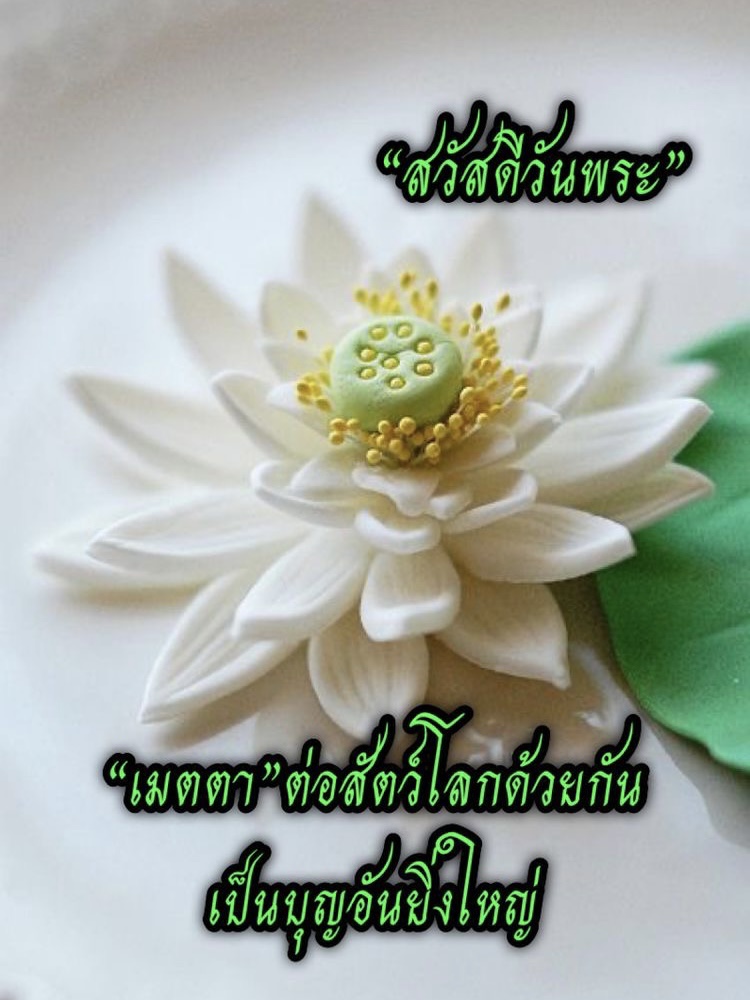 เมตตาสัตว์โลกเป็นบุญยิ่งใหญ่