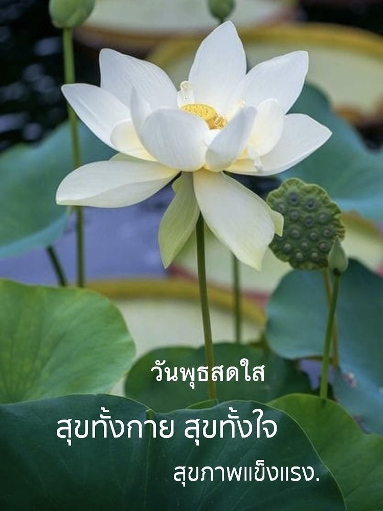 สุขทั้งกาย สุขทั้งใจ