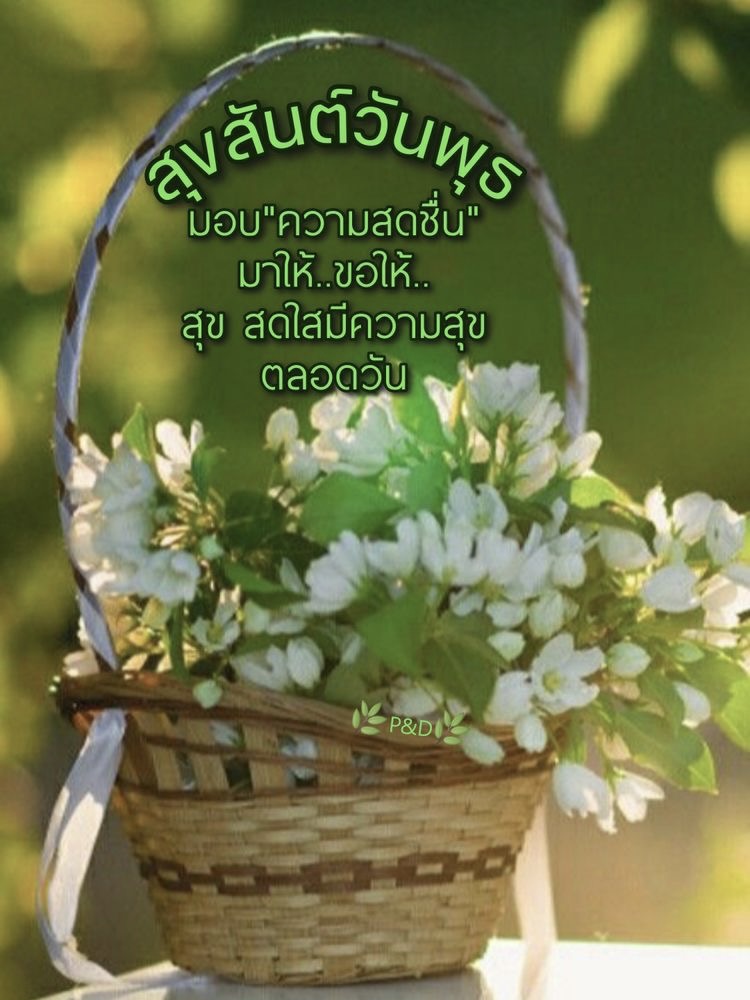 มอบความสดชื่นมาให้