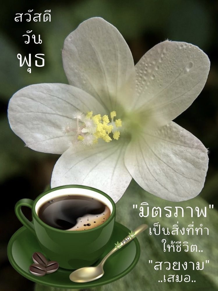 มิตรภาพ เป็นสิ่งที่ทำให้ชีวิต สวยงามเสมอ