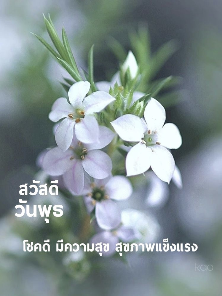 โชคดี มีความสุข