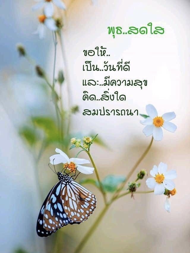 ขอให้เป็นวันที่ดี และมีความสุข