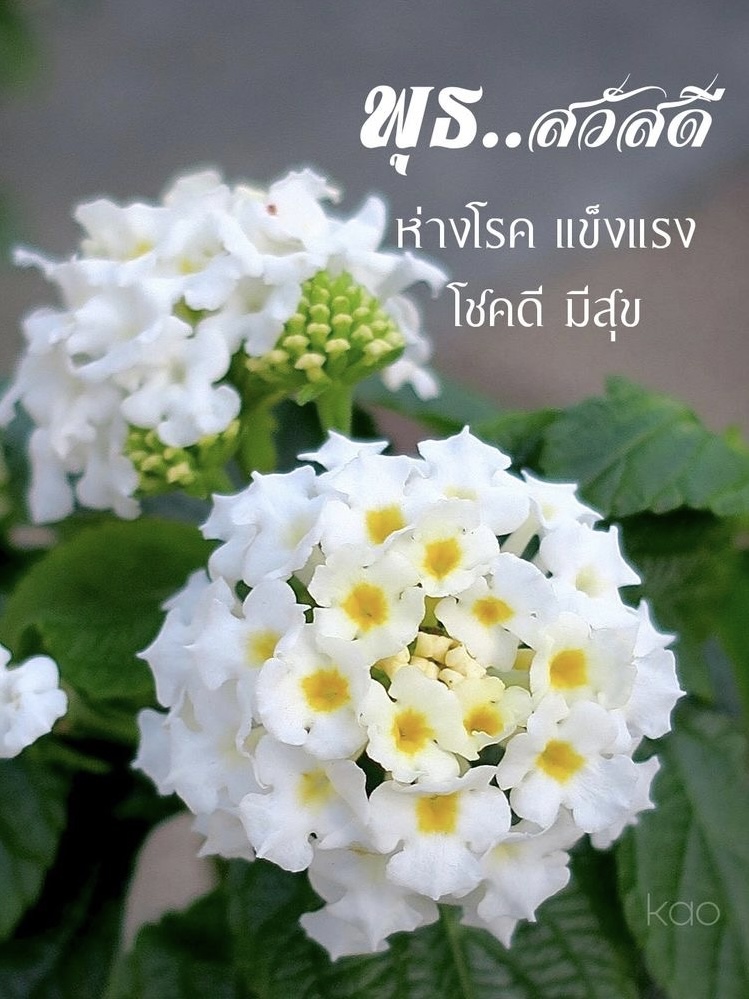 ห่างโรค แข็งแรง