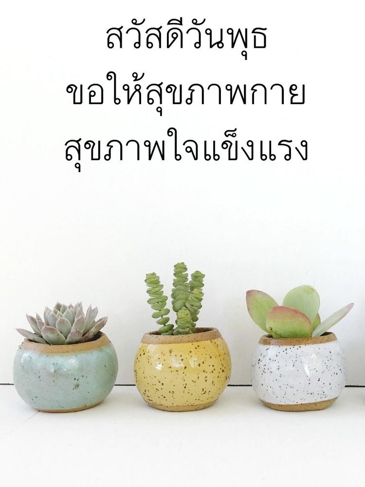 ขอให้สุขภาพกาย สุขภาพใจแข็งแรง