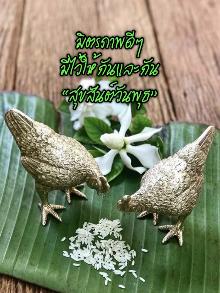 มิตรภาพดีๆ มีให้กันและกัน