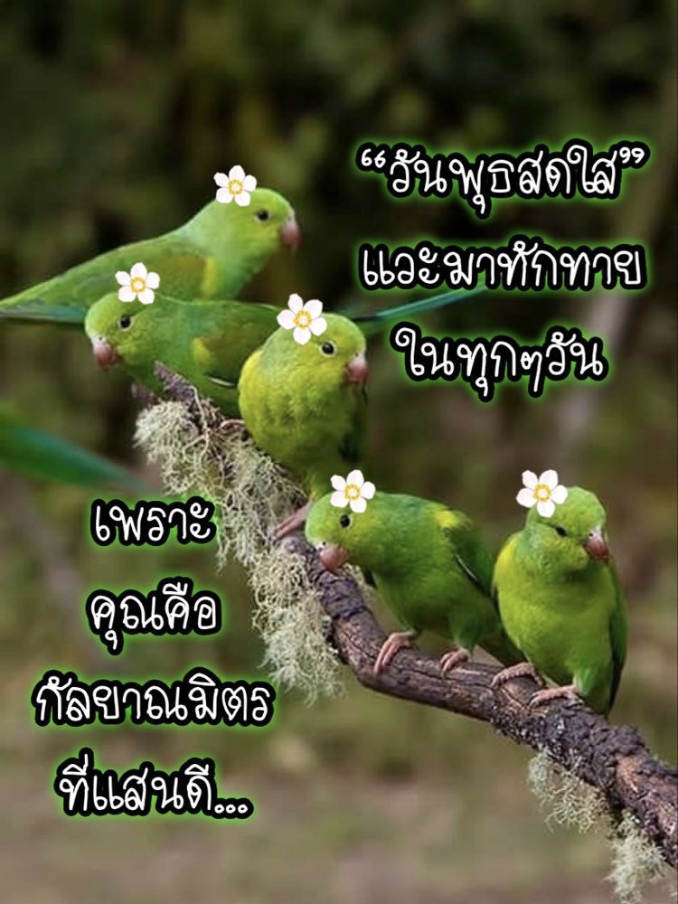 เพราะคุณคือ กัลยาณมิตรที่แสนดี