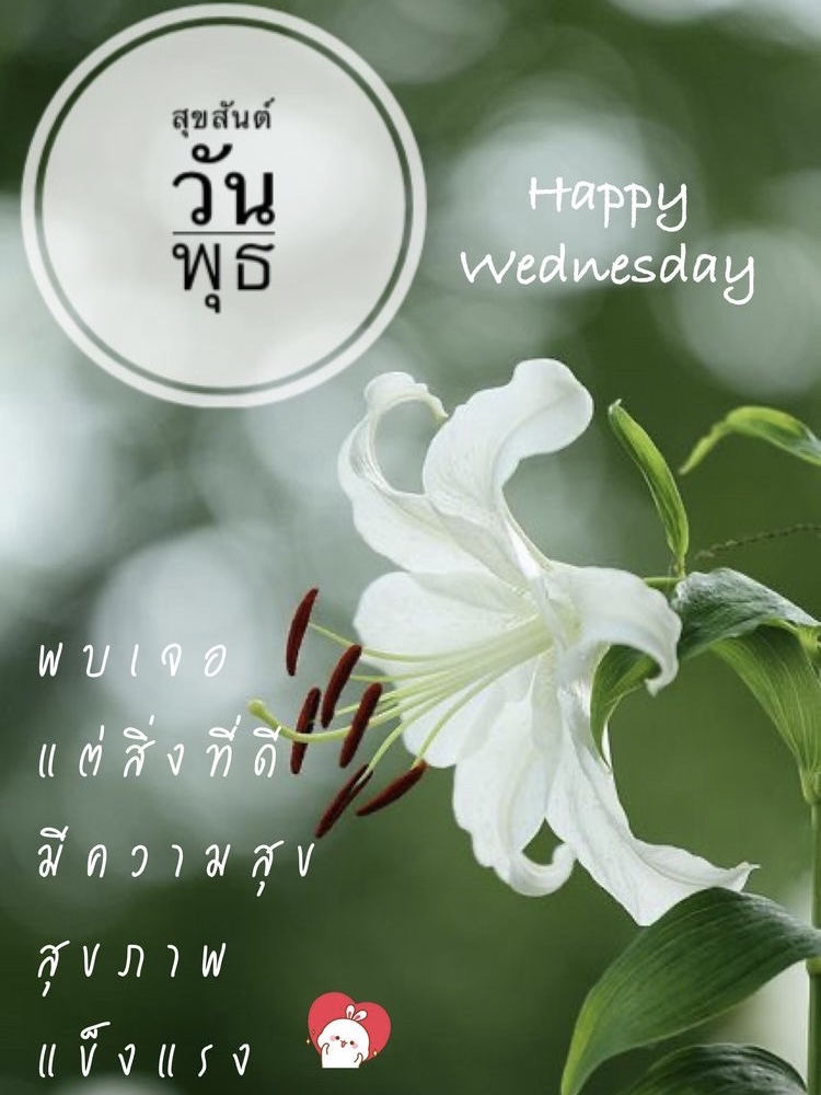พบเจอแต่สิ่งที่ดี