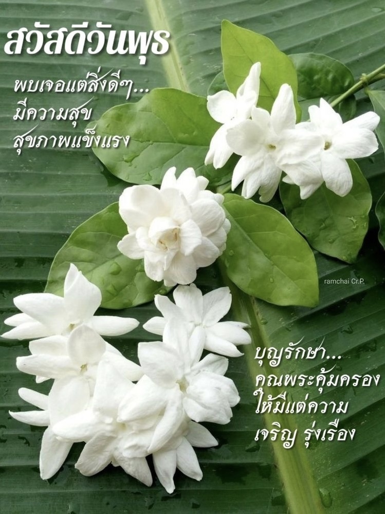 บุญรักษา คุรพระคุ้มครอง
