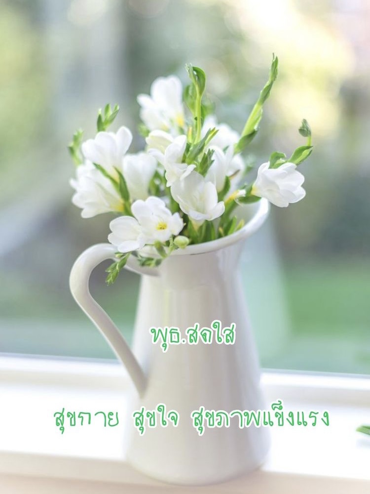 พุธสดใส สุขกาย สุขใจ