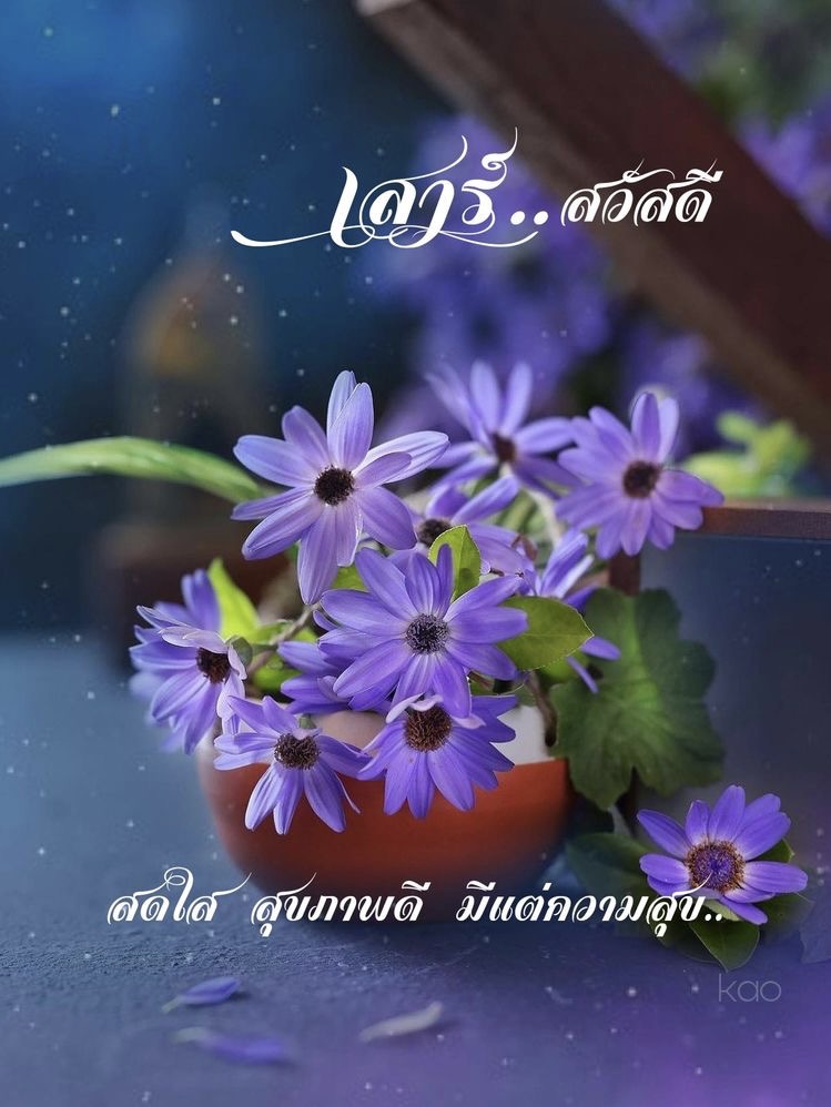 สดใส สุขภาพดี