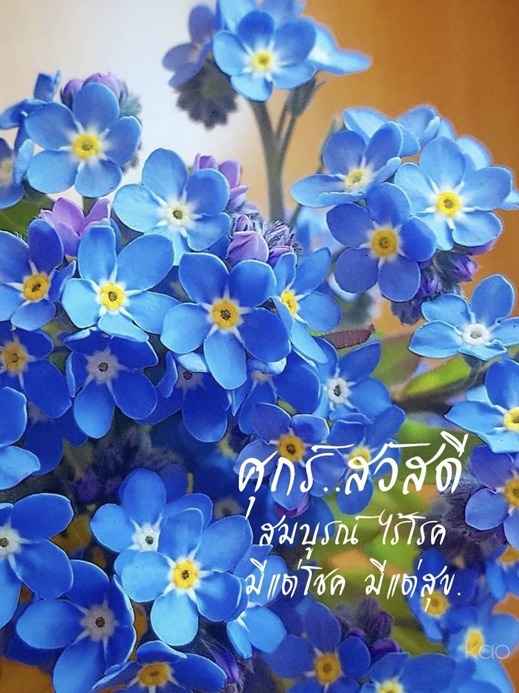 สมบูรณ์ ไร้โรค
