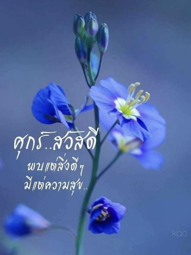 พบแต่สิ่งดีๆ มีแต่ความสุข