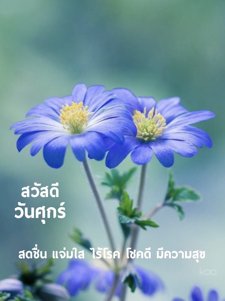 สดชื่น แจ่มใส ไร้โรค
