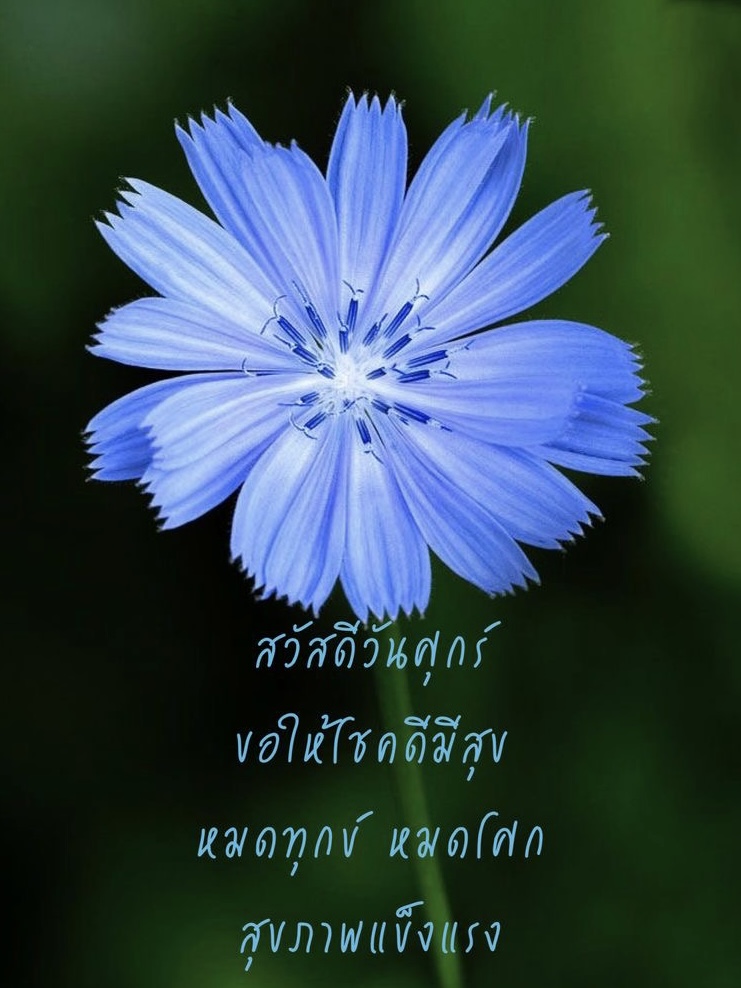 ขอให้โชคดีมีสุข