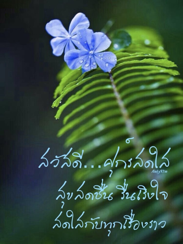 ศุกร์สดใส