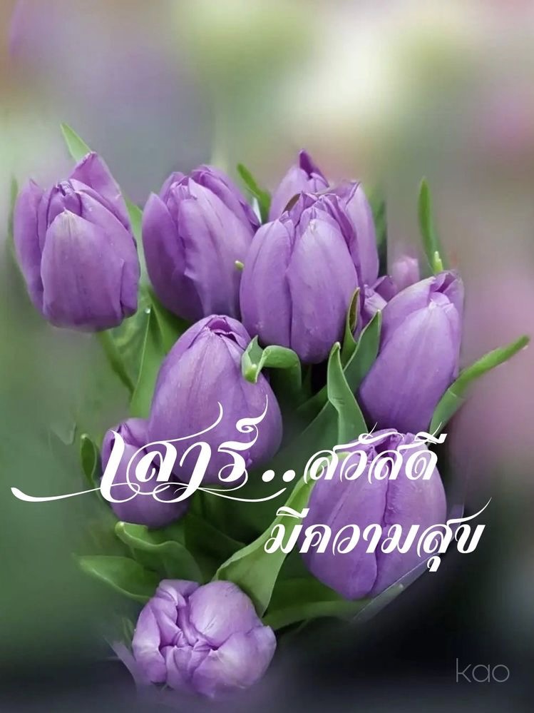 เสาร์สวัสดี มีความสุข