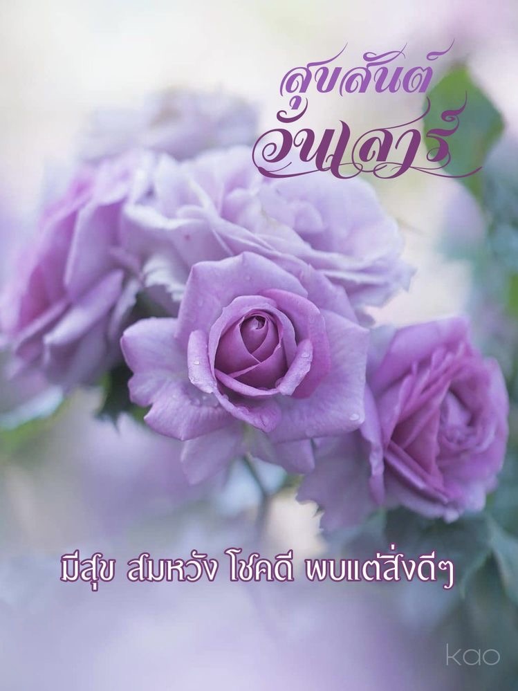 มีสุข สมหวัง โชคดี