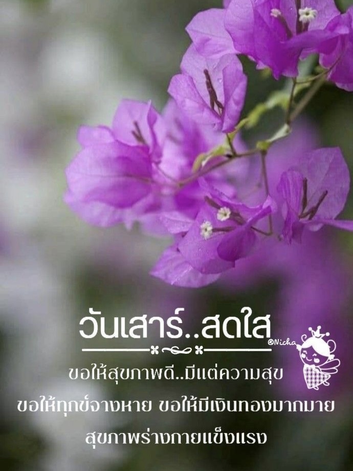 ขอให้สุขภาพดี มีแต่ความสุข