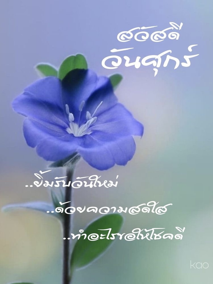 ยิ้มรับวันใหม่ด้วยความสดใส