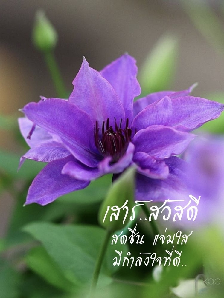 สดชื่น แจ่มใส มีกำลังใจที่ดี