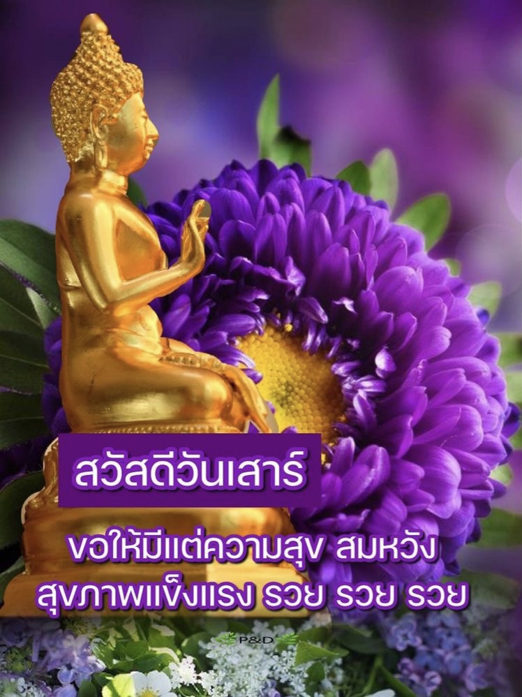 ขอให้มีแต่ความสุข สมหวัง