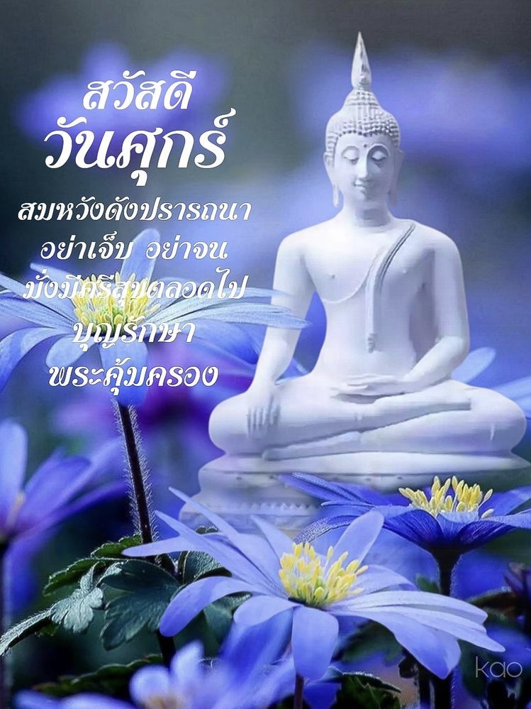 อย่าเจ็บ อย่าจน