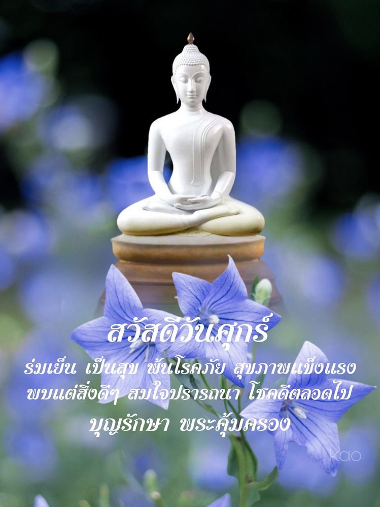 ร่มเย็นเป็นสุข
