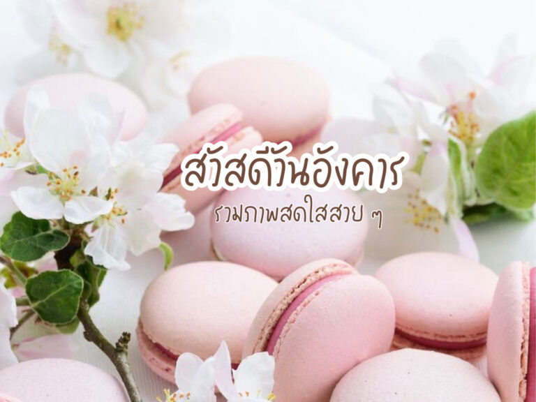 สวัสดีวันอังคาร