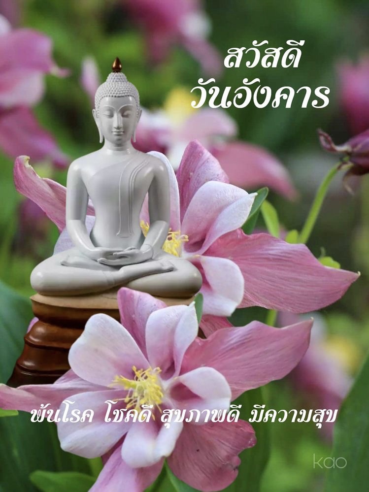 พ้นโรค โชคดี