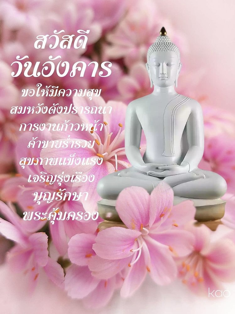 ค้าขายร่ำรวย