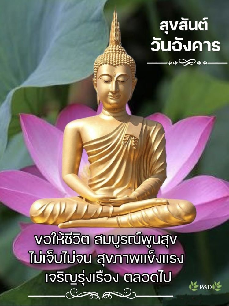 ไม่เจ็บ ไม่จน