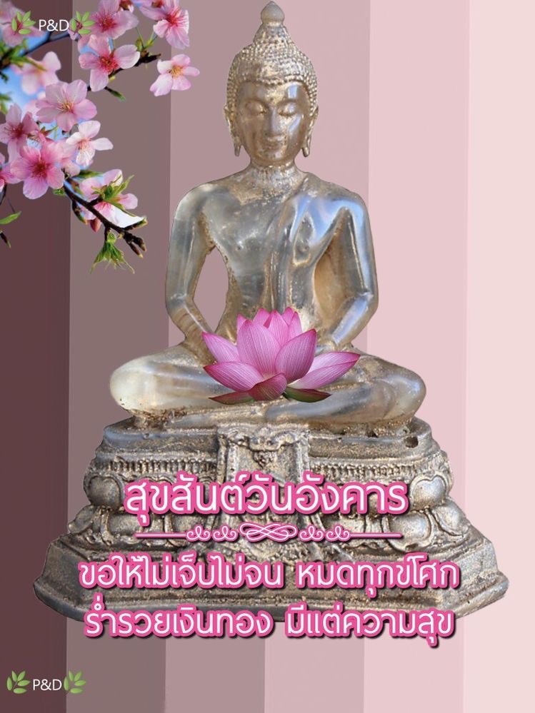 ขอให้ไม่เจ็บไม่จน