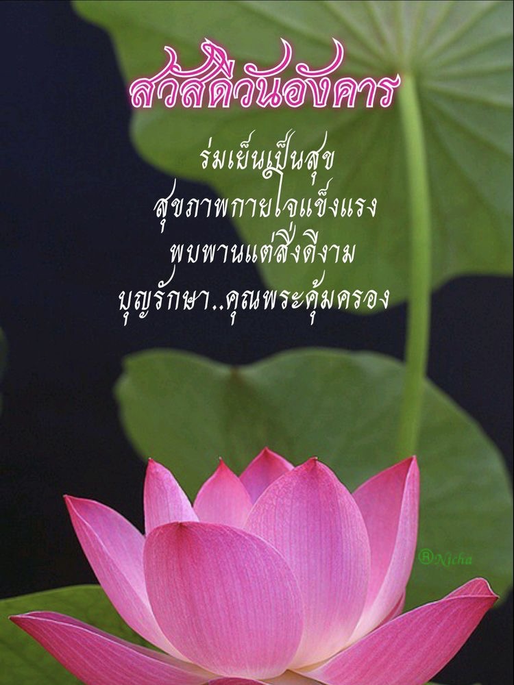 ร่มเย็น เป็นสุข